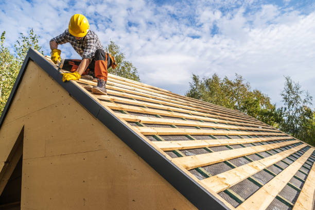 Best Roof Maintenance Services  in Merrifield, VA